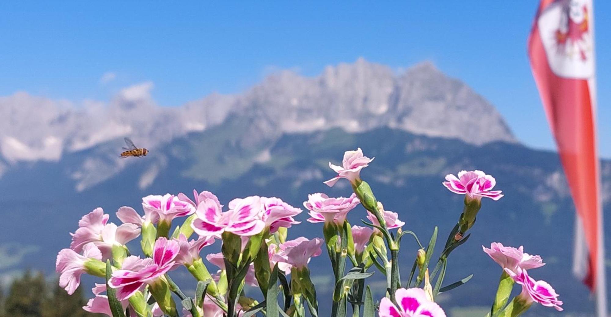 Chalet Terry Sankt Johann in Tirol Bagian luar foto